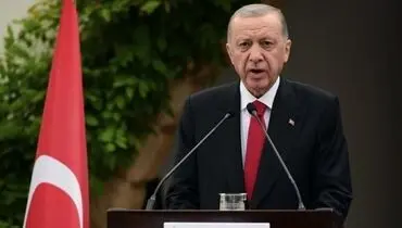 در خواست اردوغان از رئیس جمهور روسیه