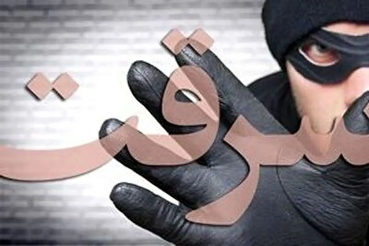 سرقت وحشتناک از یک مادر و دختر در اسلامشهر + فیلم