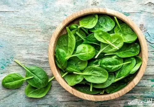 چه کسانی نباید اسفناج بخورند؟