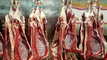 گوشت قرمز ایرانی در سفره اعراب حاشیه خلیج فارس