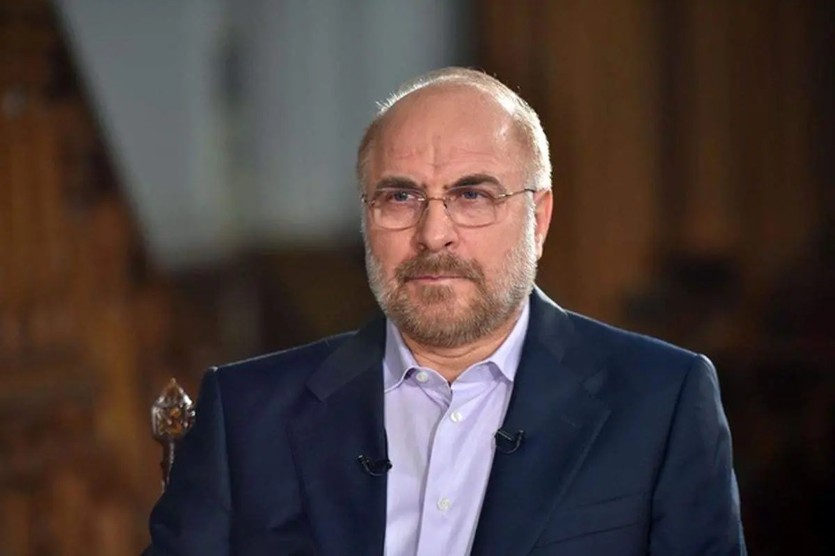 پوشش متفاوت وزیر زن آفریقای جنوبی در دیدار با قالیباف+ عکس