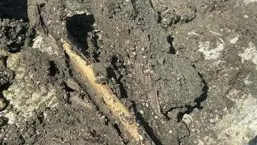 کشف سلاح سه هزار ساله باستانی در نروژ+ تصاویر