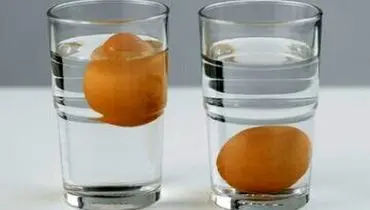 ۵ روش ساده برای تشخیص تخم‌مرغ سالم