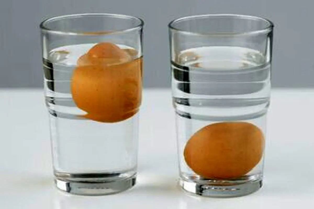 ۵ روش ساده برای تشخیص تخم‌مرغ سالم