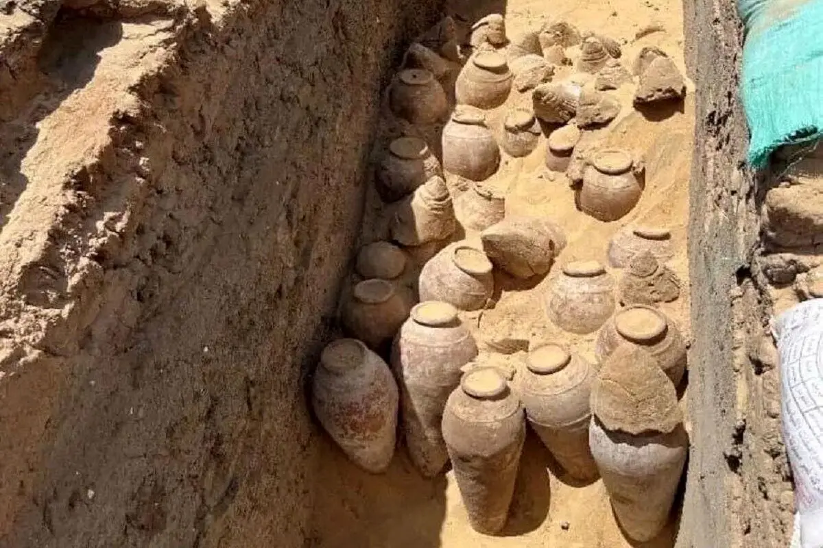 کشف کوزه های شراب ۵ هزار ساله در مصر + عکس