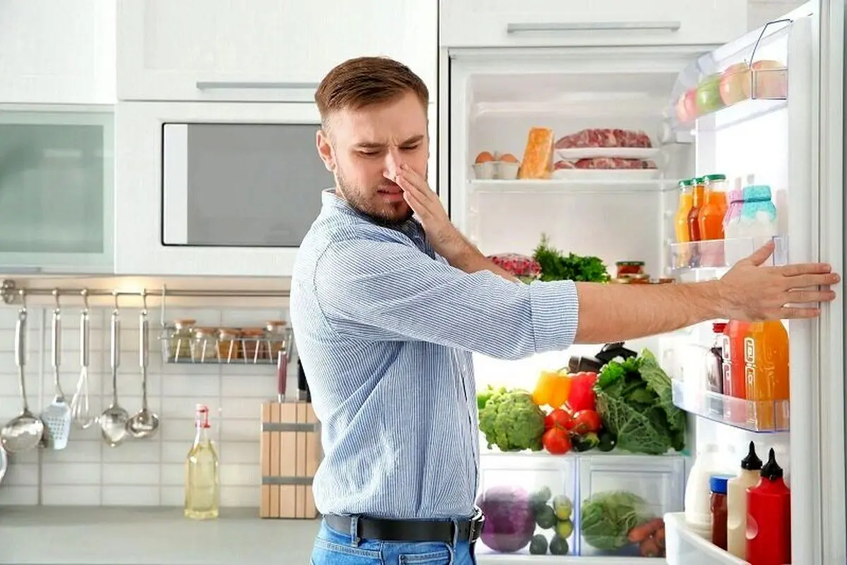راههایی برای از بین بردن بوی بد یخچال