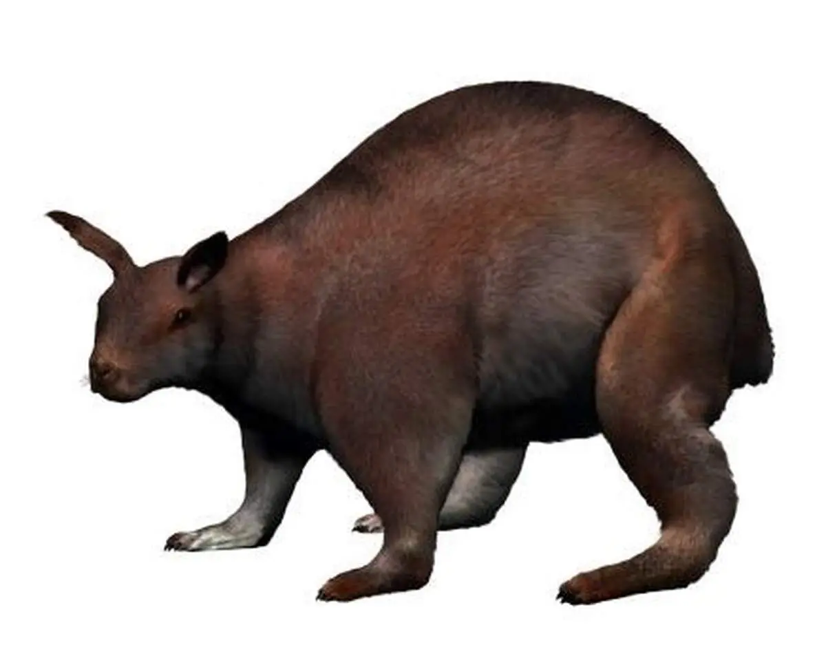 حیات جالب خرگوش های غول پیکر میلیون ها سال پیش+ عکس