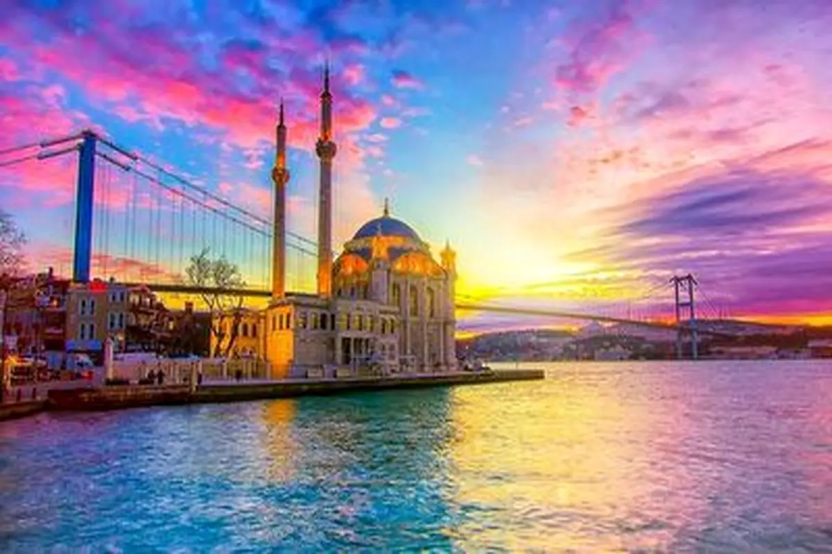 میلیون ها موش فاضلاب؛ دردسر جدید استانبول+ فیلم