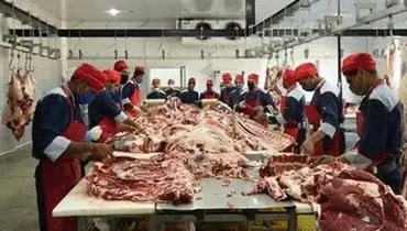 کاهش ۲۶ درصدی عرضه‌ی گوشت قرمز