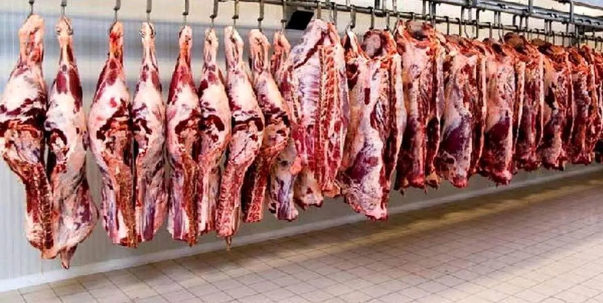 ثبات قیمت گوشت از اواسط آبان ماه