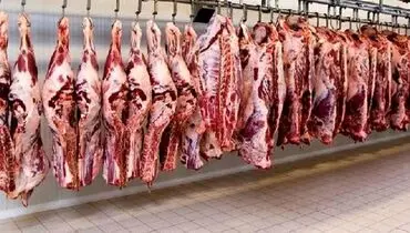 ثبات قیمت گوشت از اواسط آبان ماه