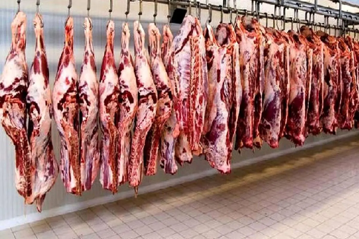 ثبات قیمت گوشت از اواسط آبان ماه