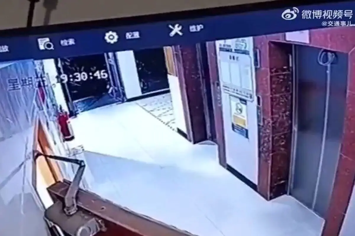 نجات معجزه آسای سگ از حلق آویز شدن در آسانسور+ فیلم