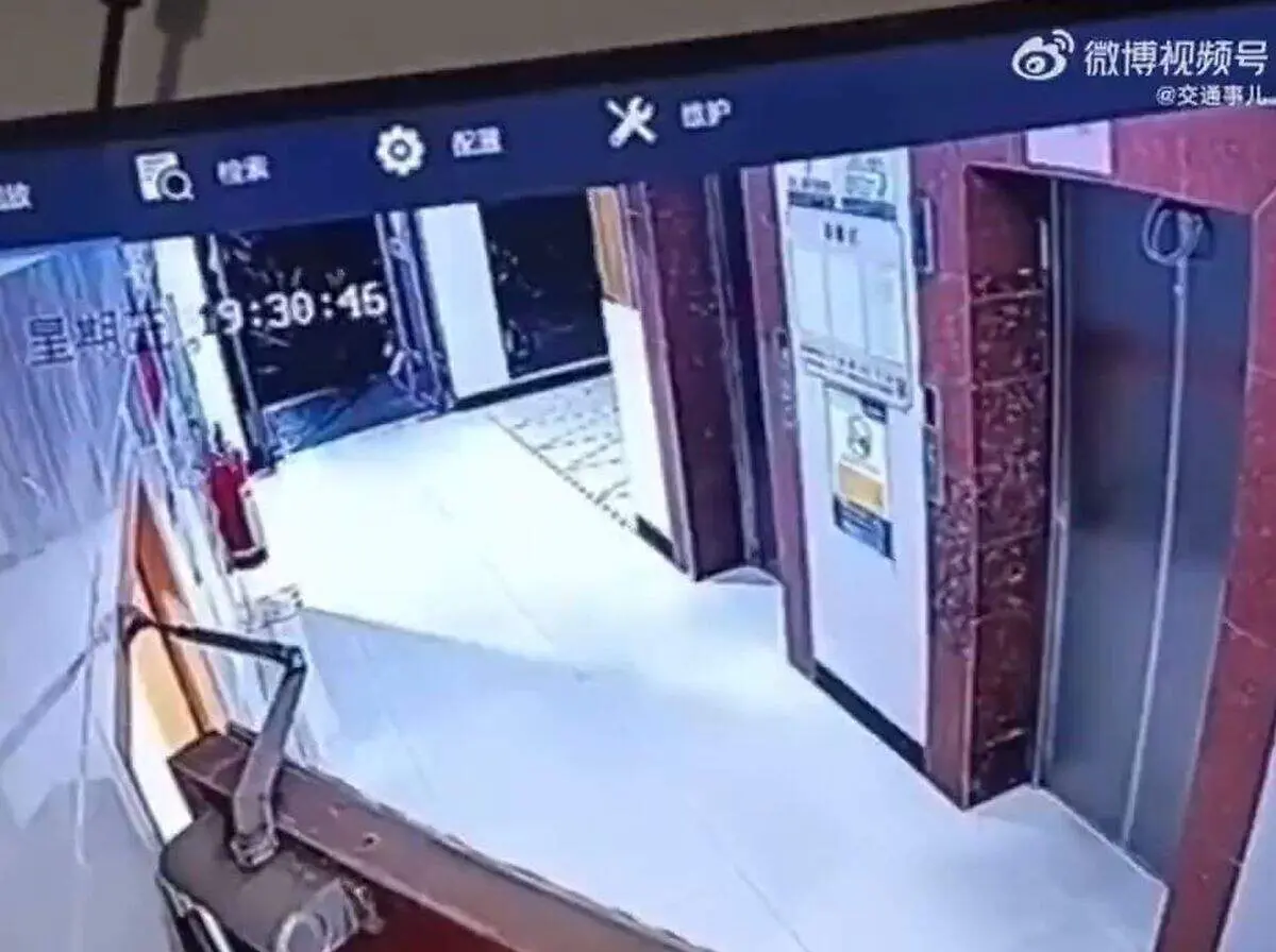 نجات معجزه آسای سگ از حلق آویز شدن در آسانسور+ فیلم