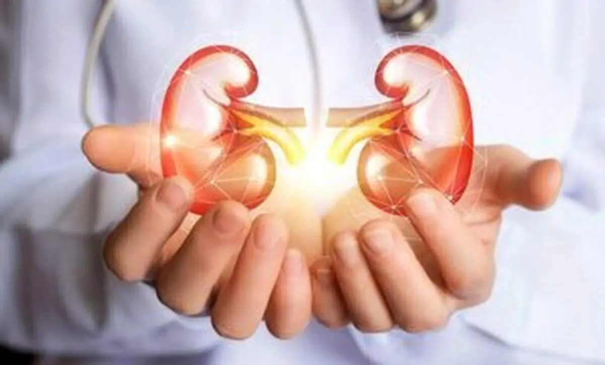 برای پیشگیری از بیماری های کلیوی از این ۱۰ ماده غذایی غافل نشوید