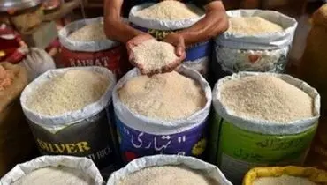 آخرین خبرها از بازار برنج
