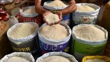 آخرین خبرها از بازار برنج