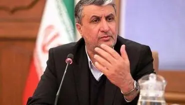 رییس سازمان انرژی اتمی از پیشرفت دو فاز نیروگاه بوشهر خبرداد