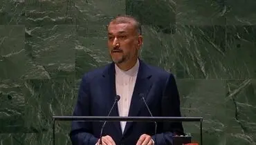 وزیر امور خارجه: نسل‌کشی در غزه فورا متوقف شود