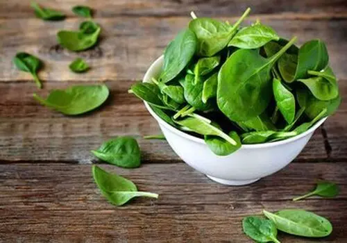 چه کسانی نباید اسفناج بخورند؟