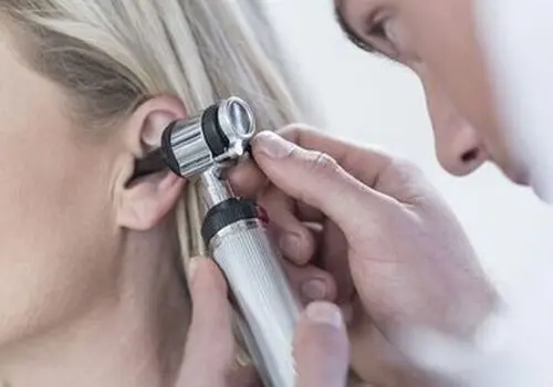 چرا هرگز نباید عنکبوت کرکی را بکشید+ فیلم