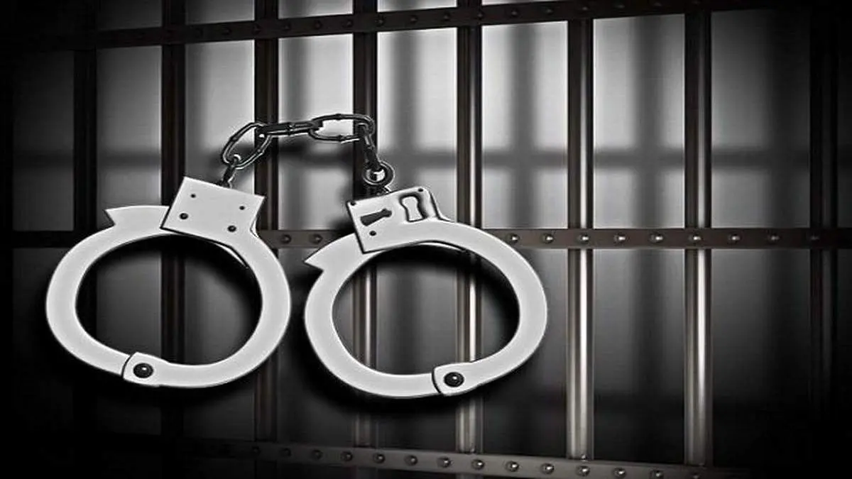 اعضای باند سارقان به عنف منازل و مغازه دستگیر شدند