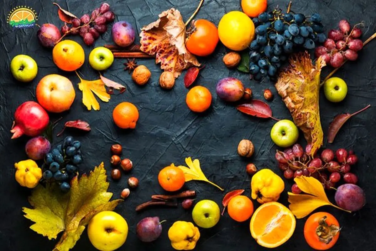 مهم‌ترین خواص میوه‌های فصل پاییز و زمستان