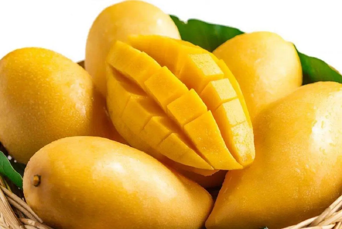 معجزه این میوه در حفظ سلامت بدن