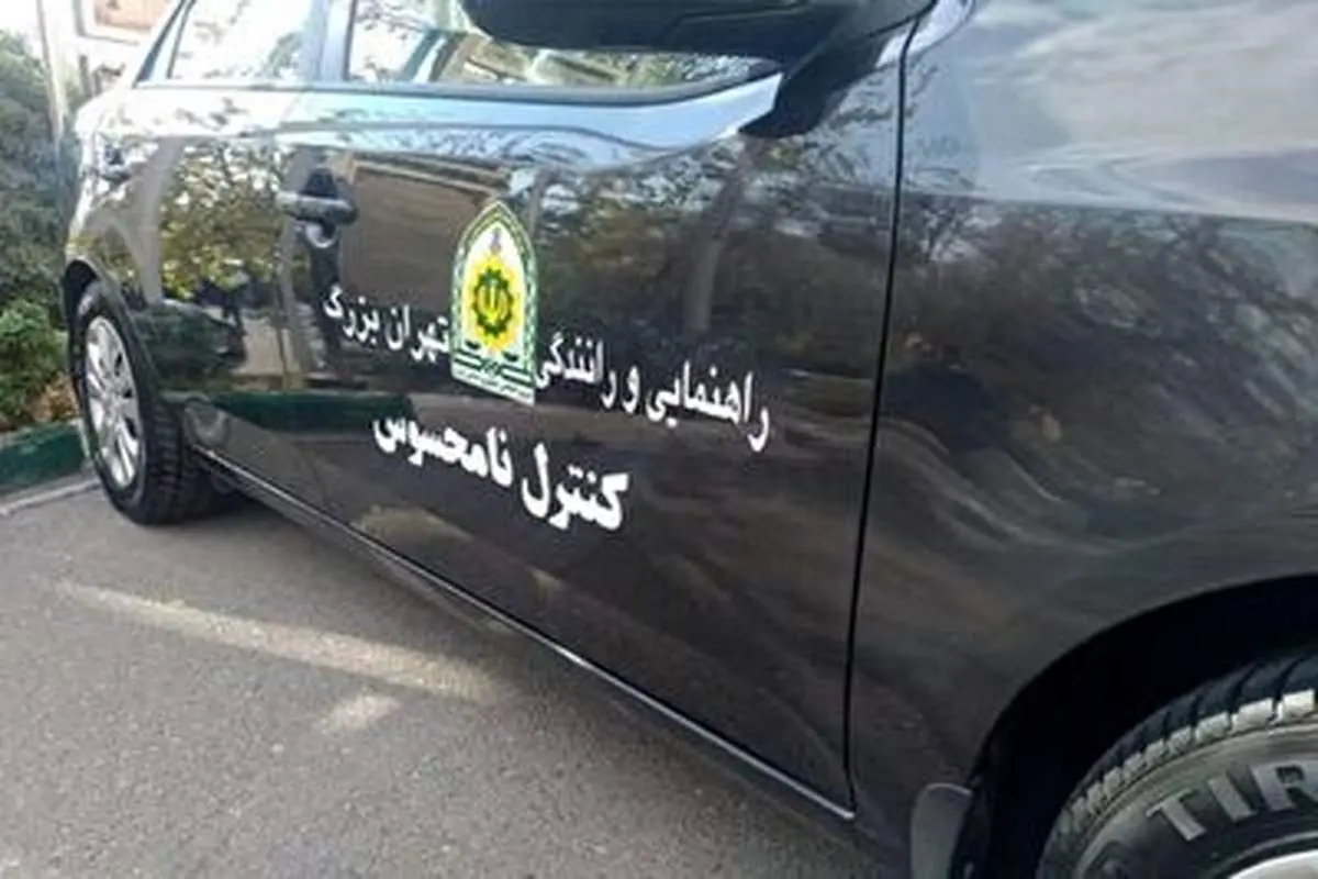 لحظه غافلگیری سارق توسط پلیس نامحسوس مشهد+ فیلم