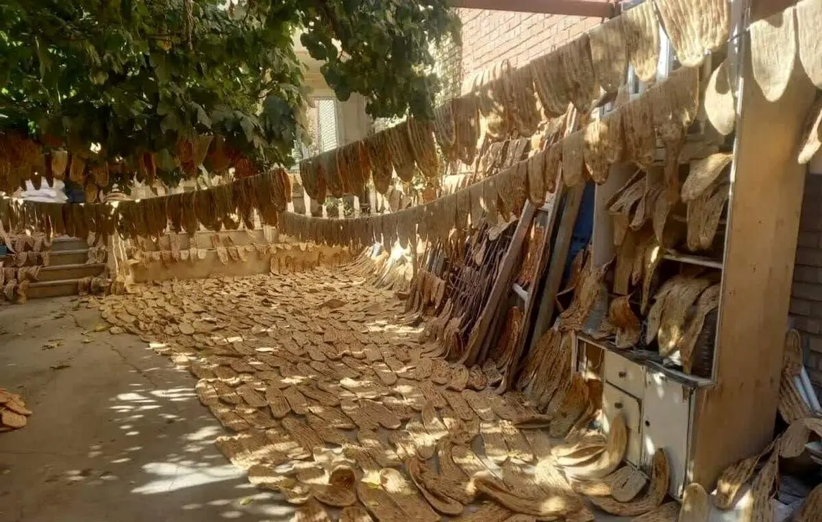 احتکار ۵ هزار نان در حیاط منزل!