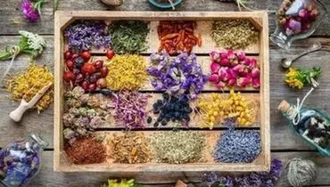 عوارض مصرف خودسرانه دارو‌های گیاهی برای سلامتی