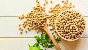 فواید معجزه آسای مصرف «سویا» برای بدن