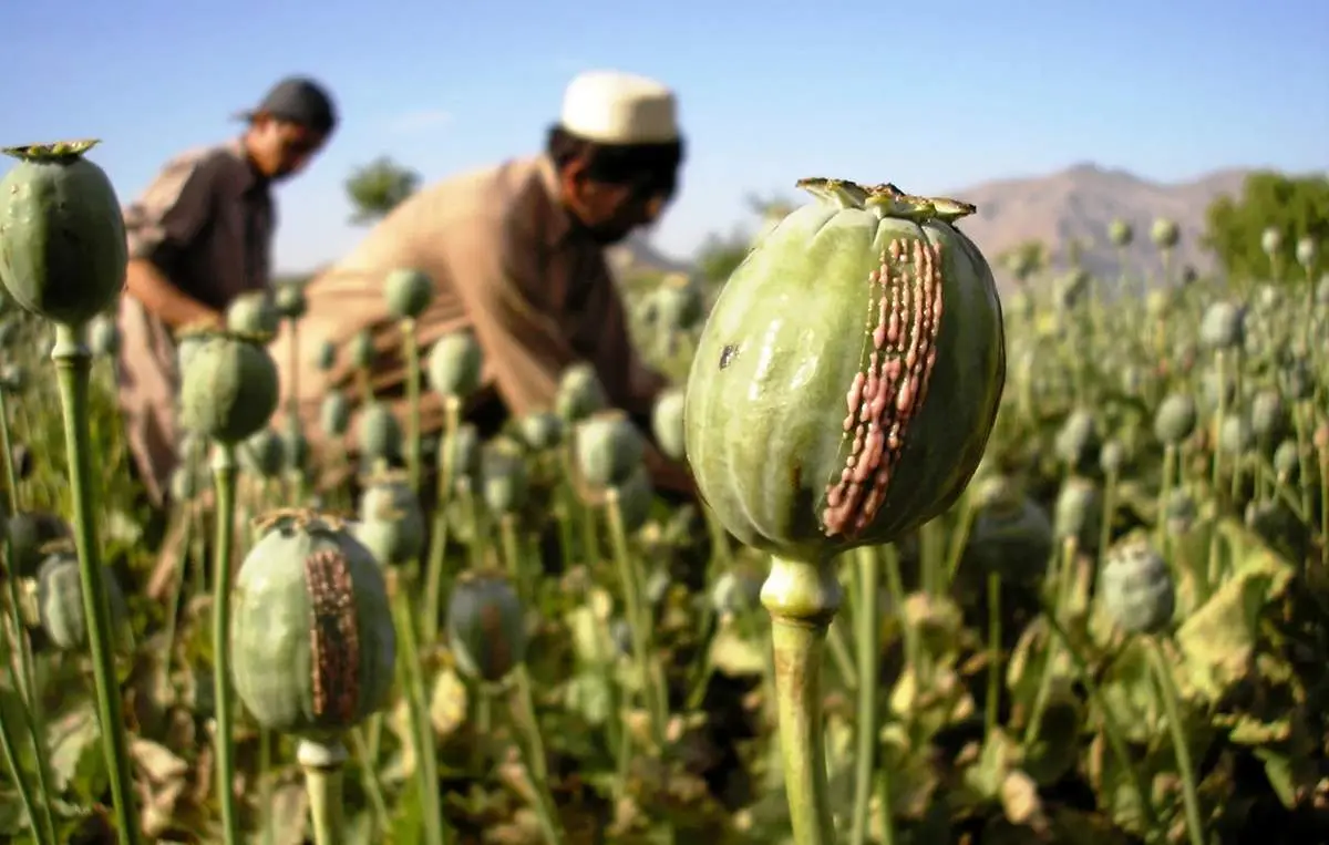 خودوری حمل تریاک ۶۰سال پیش در تبریز+ عکس
