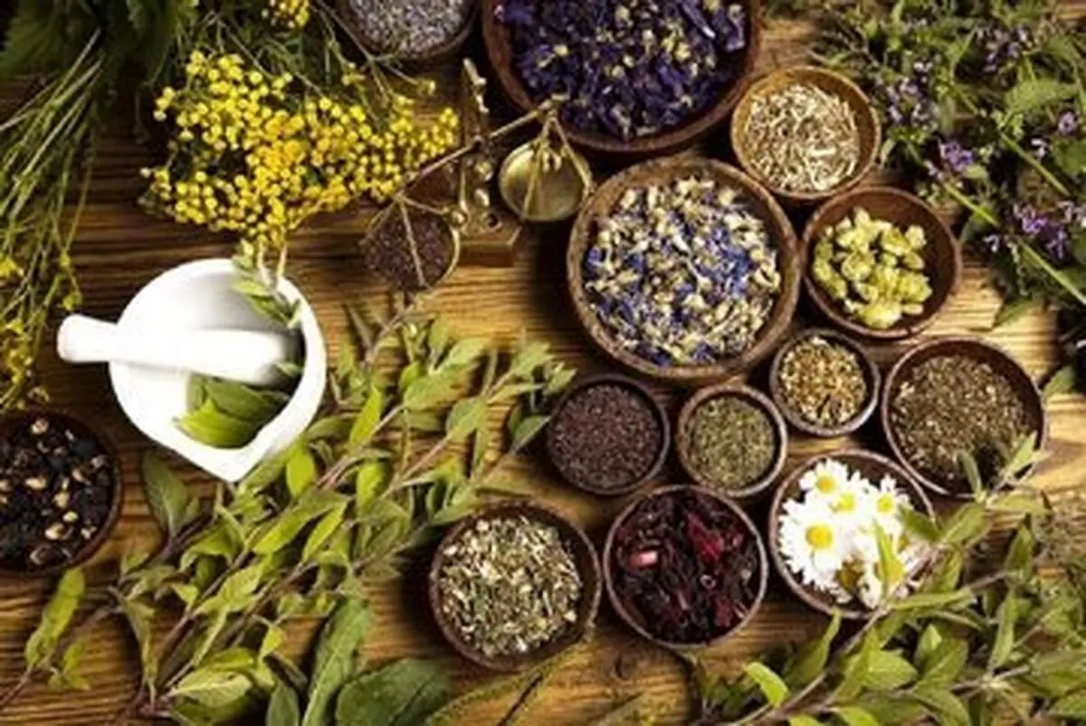 خطرات باورنکردنی این ۵ گیاه دارویی متعجبتان می کند