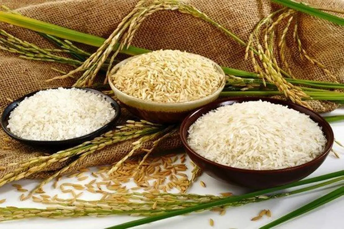 ۵ روش ساده برای تشخیص برنج مرغوب از بیکیفیت