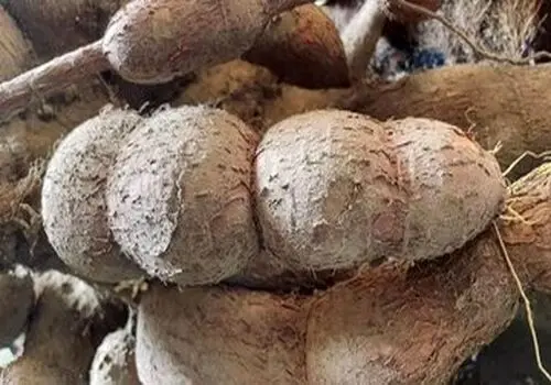 مسمومیت با این غذای دریایی را جدی بگیرید
