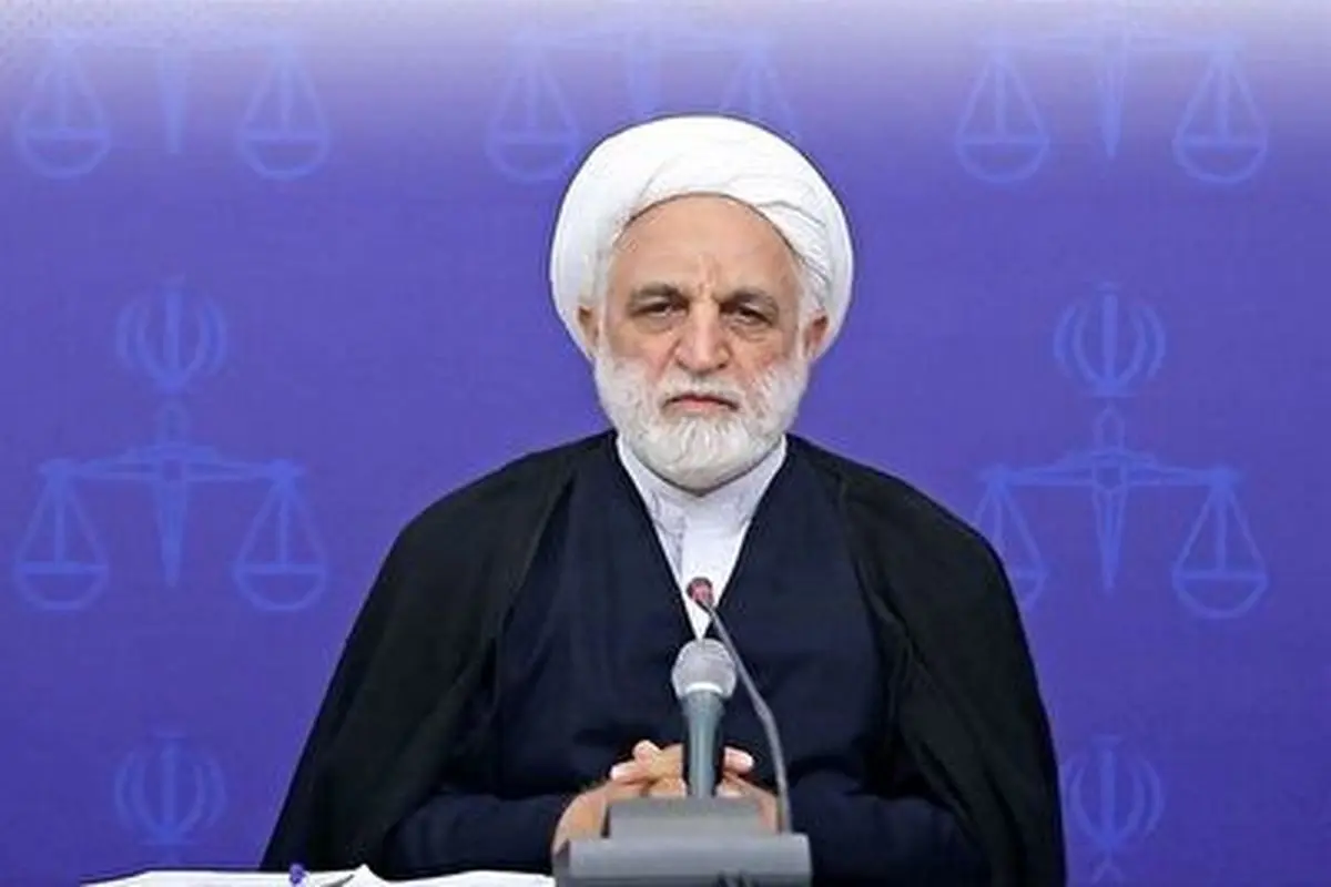 اژه ای: مگر قرار است از هرآنچه که در منزل متهم هست مطلع شویم؟ 