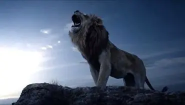 با دیدن این ویدئو متوجه می شوید که چرا شیر سلطان جنگل است و نه ببر!