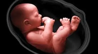 آلودگی هوا و خطری که جنین‌ها را تهدید می‌کند
