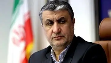 رئیس سازمان انرژی اتمی از طرح بزرگ هسته‌ای ایران خبر داد