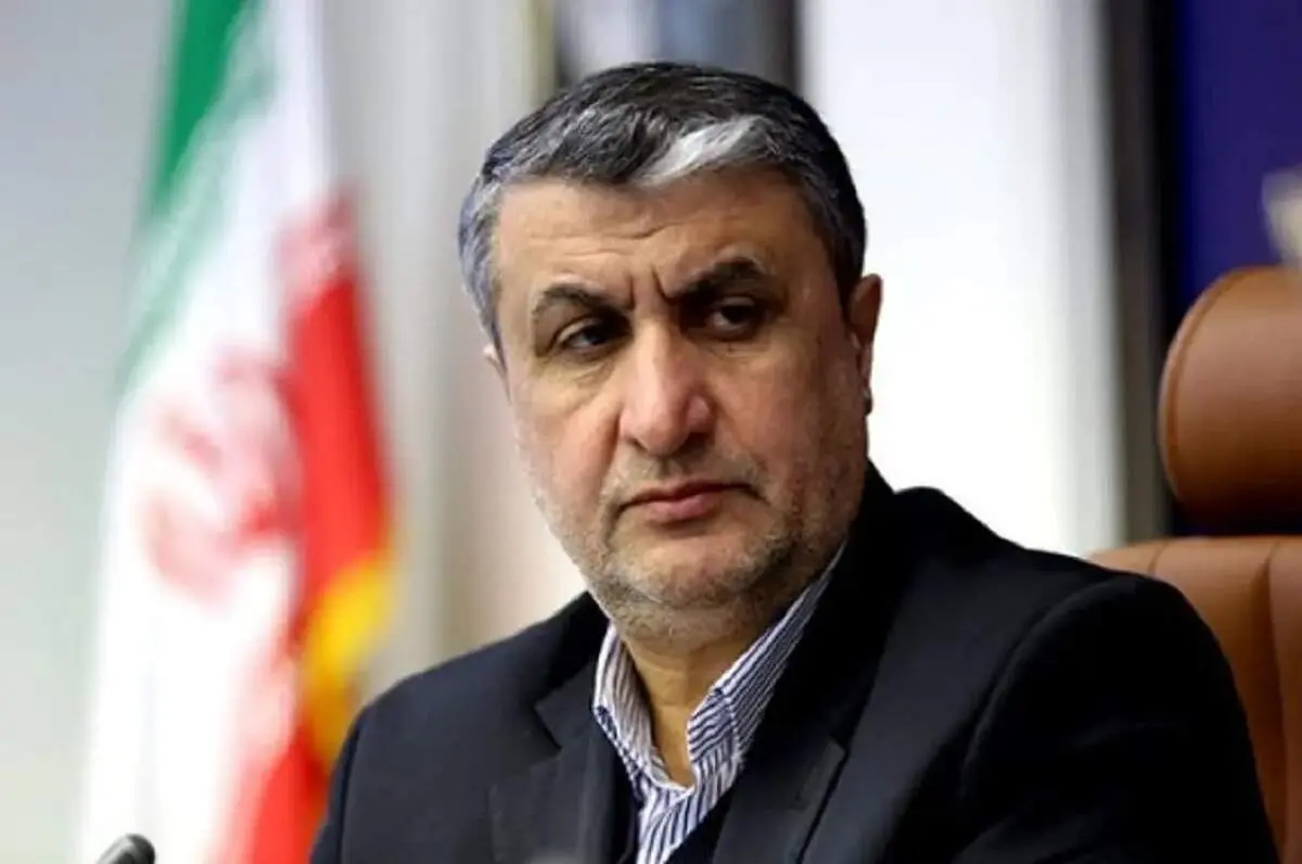 رئیس سازمان انرژی اتمی از طرح بزرگ هسته‌ای ایران خبر داد
