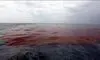 آخرین وضعیت لکه نفتی قشم پس از دو هفته پاکسازی