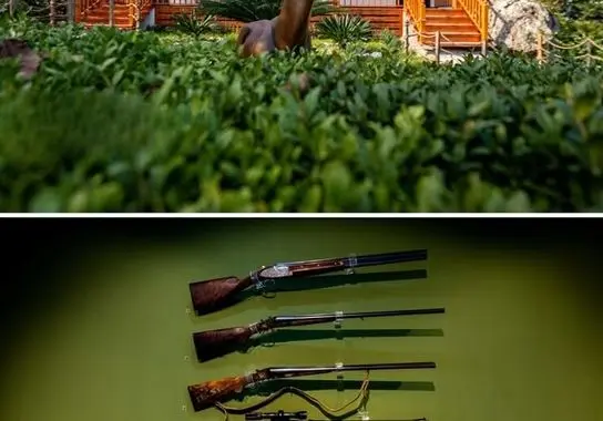 photo_8_2025-12-07_20-59-09