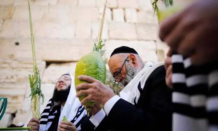 برگزاری جشن سوکوت در جمهوری آذربایجان + فیلم