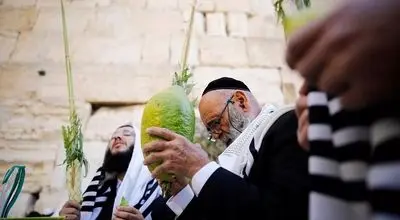 برگزاری جشن سوکوت در جمهوری آذربایجان + فیلم