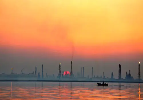 خوراکی‌های موثر در روزهای آلودگی هوا
