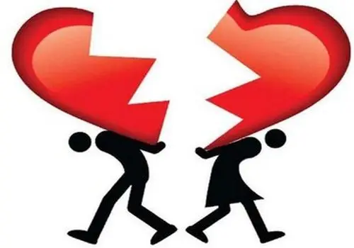 وقتی نیستید، چه کسی از گلدان‌هایتان مراقبت می‌کند؟ راه‌حل‌های هوشمندانه!