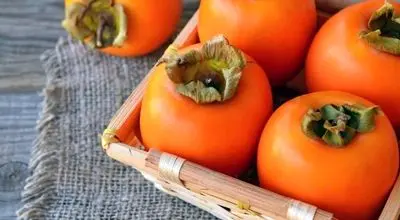 آیا خرمالو می‌تواند خطرناک باشد؟ هشدار متخصص درباره مصرف نادرست این میوه
