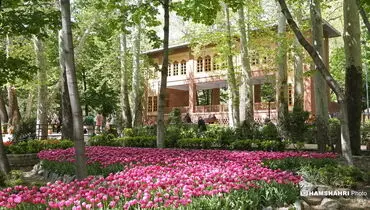 هلند کوچک تهران را بهتر بشناسید
