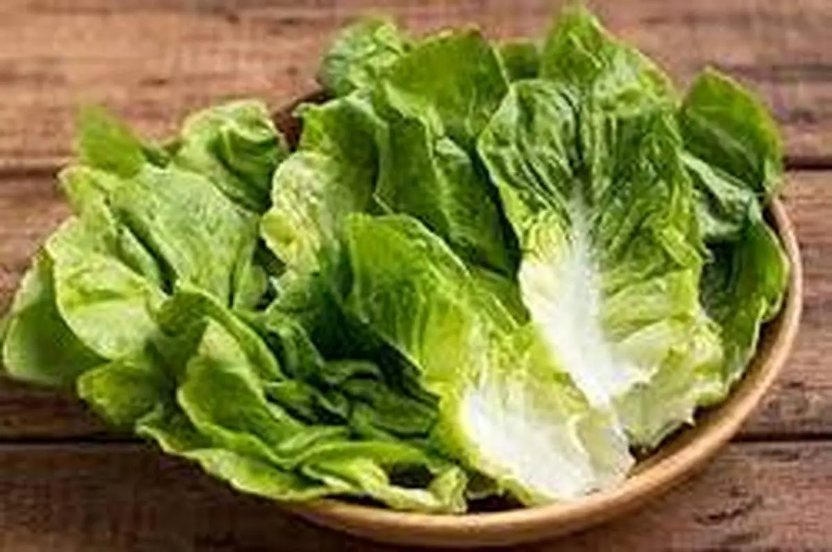 سبزی محبوبی که خواب آور است
